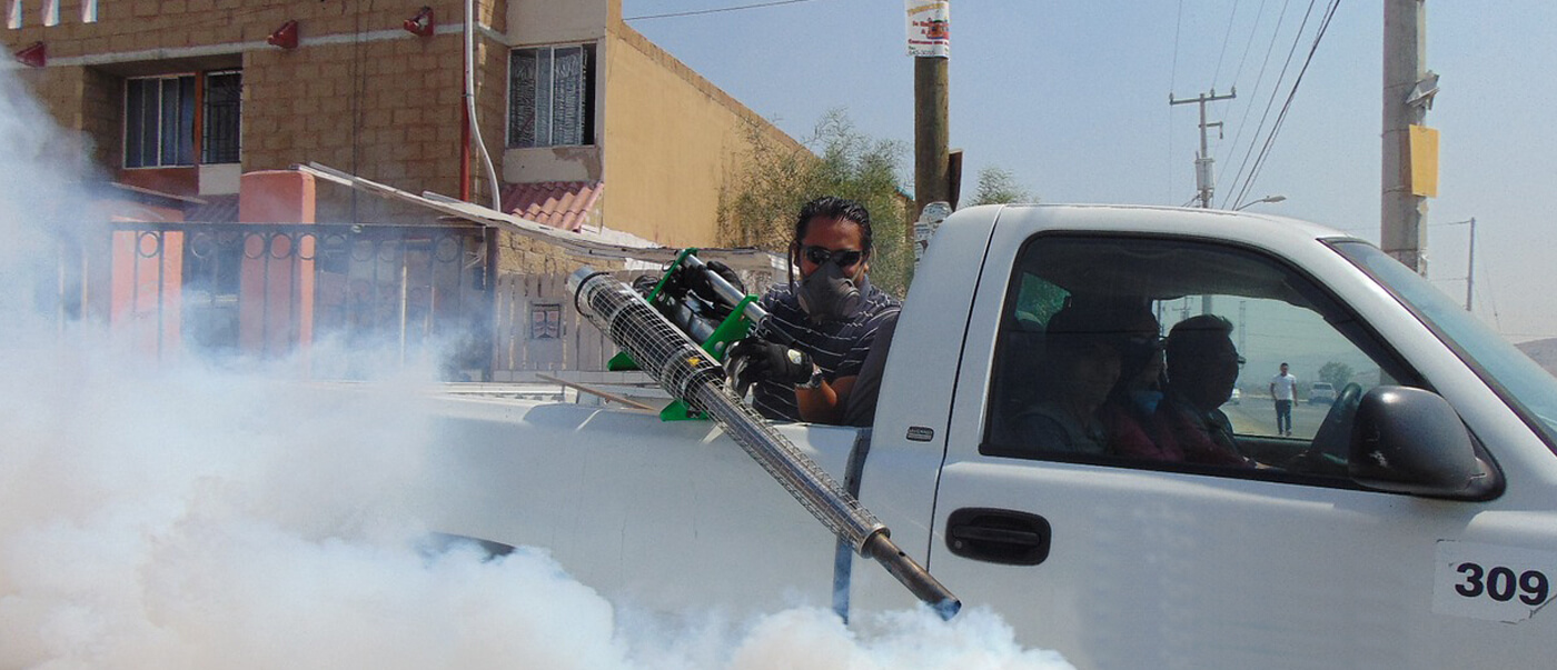 #htmlcaption3 YOUR LOCAL PEST CONTROL