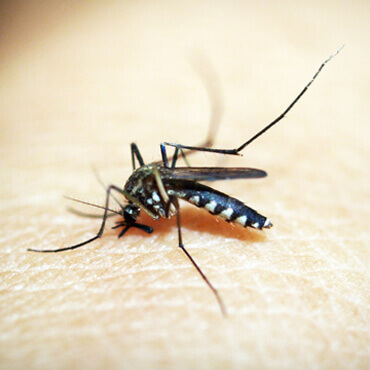 Title Here Title Here