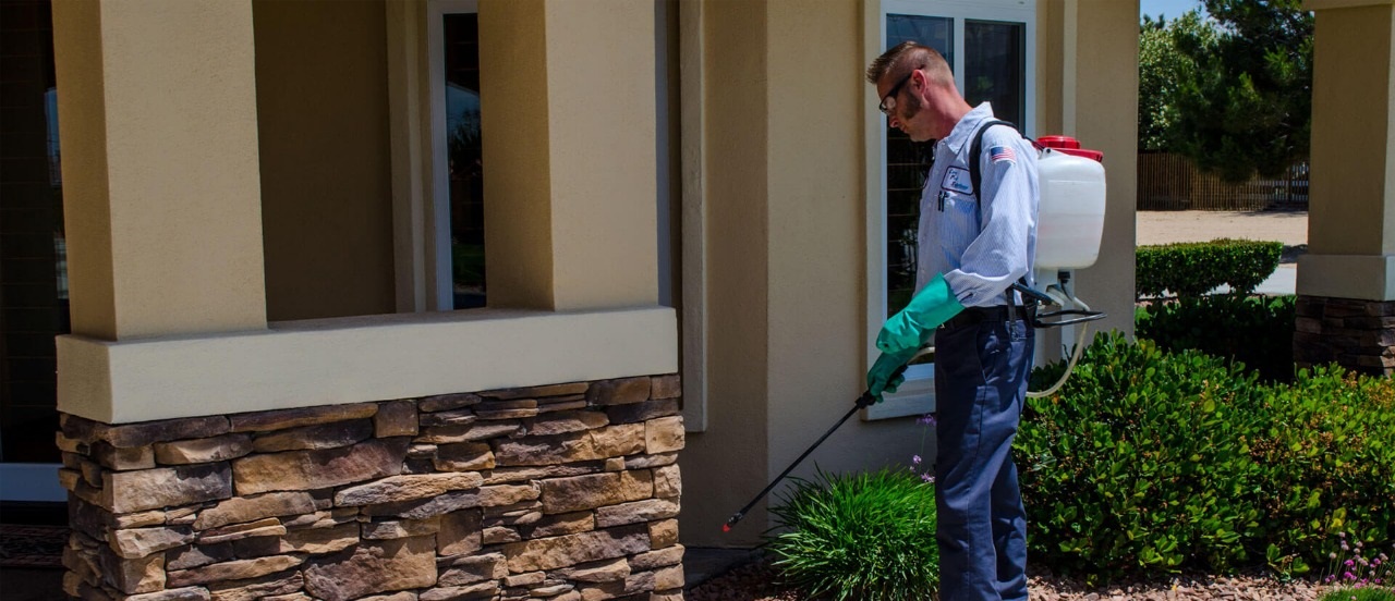 #htmlcaption1 YOUR LOCAL PEST CONTROL